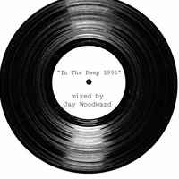 Vinyl Mix Vol 3 - In the Deep 1995 by Jay W