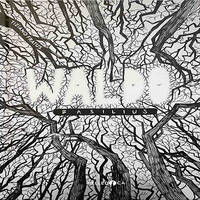 SLOW BOOKS | NATURA | TIZIANO FRATUS - WALDO BASILIUS by RADIO FRANCIGENA - LA VOCE DEI CAMMINI