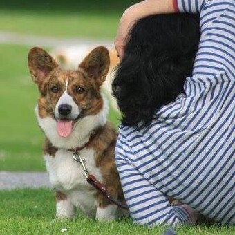 Soňa Nov&aacute;kov&aacute;