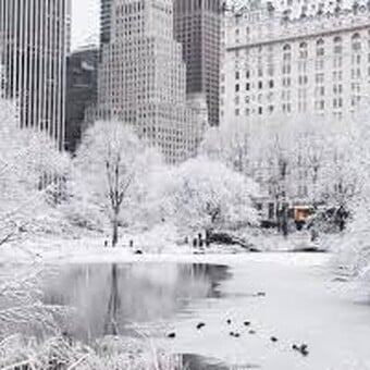 Stephane Lrtg Lartigue