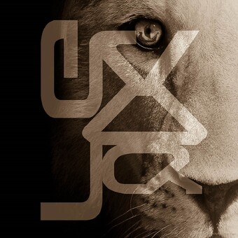 C&eacute;dric VAQU&Eacute;