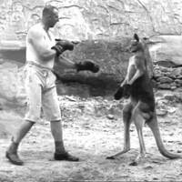 How far can too far go? by meistsonnig