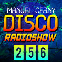 DISCO (256) by Manuel Cerny
