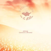 95.¿Existe el rapto? | Respuestas en la Biblia by Kehila Camino a Emaus