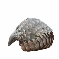 KSP/058 Pangolin  - May Contain Allergens by Kitchen Spasm