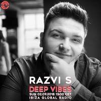Deep Vibes - Guest RAZVI S - 02.09.2018 by Deep Vibes