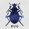 Bug (l3ug)