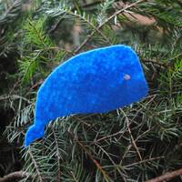 17. simbols | Valis | 18.12.2018. by Radio Marija Latvija