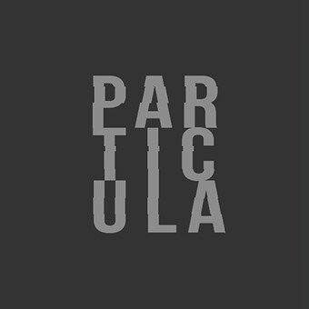 Part&iacute;cula Records