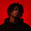 lil havoc