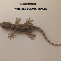 Invisible Cosmic Traces