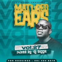 Matured Ears Vol.16 Mixed by djbiggz
