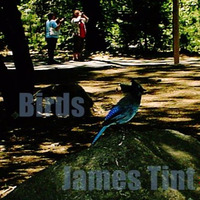 Birds by James Tint