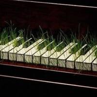 Rodna Cesta - 2015-05-12 Hudba a duch V. časť by Slobodný Vysielač