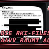 DIE RKI-FILES: DAS ZAAVV RÄUMT AUF by NuoFlix