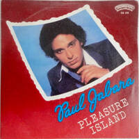 Deluxe Disco Vinyl by Disco Internet