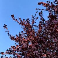 Ay Palas 15.04.2024 @ Acik Radyo by Ay Palas