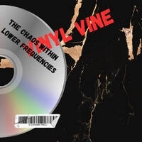 The chaos within lower frequencies by Vinyl Vine