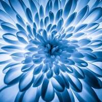 copernicus - highway to house - episode 80 by copernicus