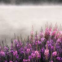 copernicus - highway to house - episode 58 by copernicus