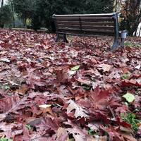 South Africa Deep House-Nostalgic Winter by DJ MXP