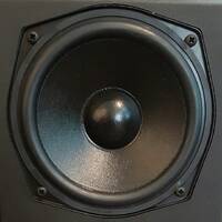 Kaiser Gayser's "FOREST" Essential Mix Special Edition by Kaiser Gayser by Kaiser Gayser