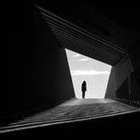 Darxilla "Miami Noire 1" by DARXILLA