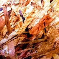 Bavardages by Gérard Delassus