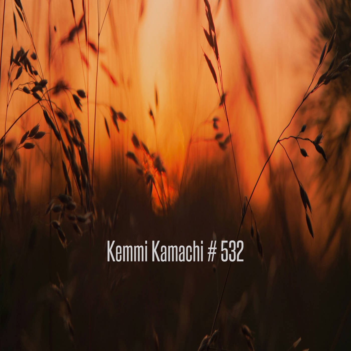 Kemmi Kamachi # 532 episode artwork
