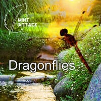 Dragonflies (promo) [Free Download] by Mint Attack