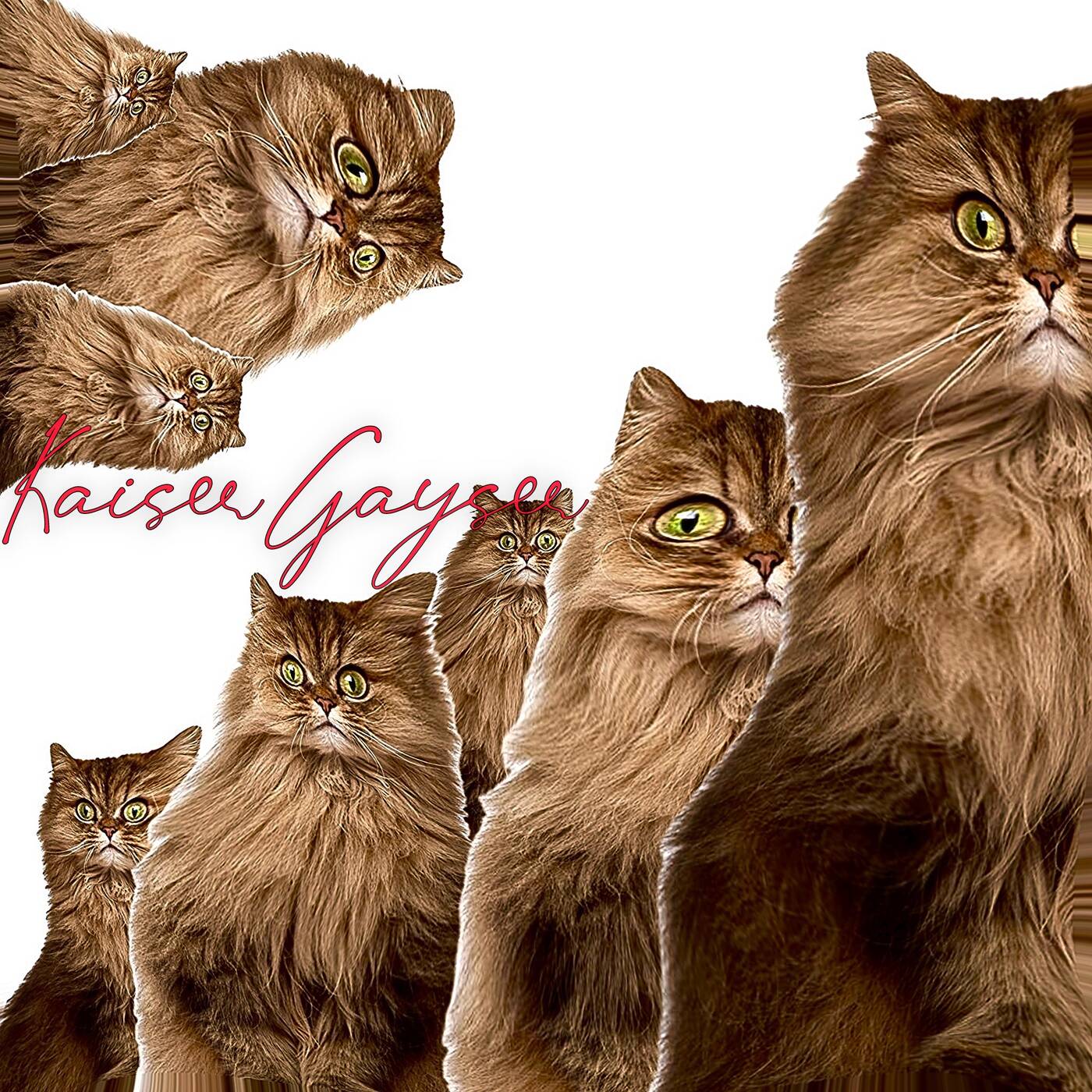 SomeWhere By Kaiser Gayser