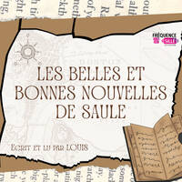 16 - Elle est pas belle la nuit - Les Belles et Bonnes Nouvelles de Saule by Frequence Sillé