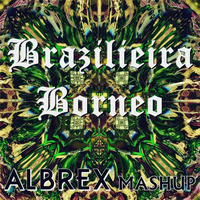 Damn Then Vs Duke Jones - Brazilieira Borneo (ALBREX MASHUP) by ALBREXdj