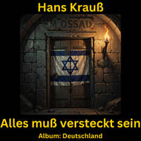 Alles muss versteckt sein by Hans Krauß
