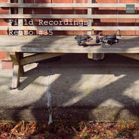 Field Recordings | Retro #35 by PG3A