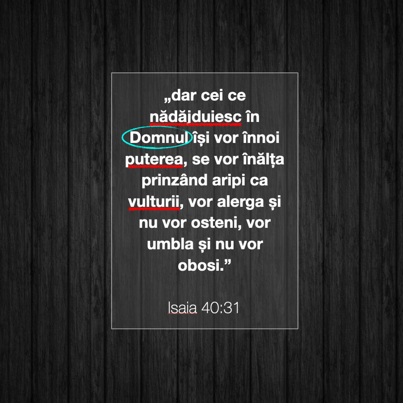 Promisiuni Biblice (Isaia 40:31) episode artwork