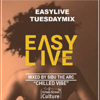 EasyLiveSessions Mix by Sibu The Arc by EasyLiveSessions