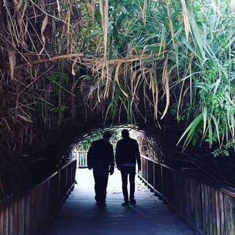 Marco DE Santalucia Luna