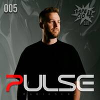 P U L S E Radioshow 005 By DaViZo by DaViZo