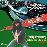Teddy Presberg Timebomb [Funkydestination RMX] vs Rick James Super Freak [Bang 'n Mash Mashup] by Bang 'n Mash