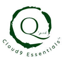 Cloud9 Essentials Session 3 (Mixed by Q'pid) by Cloud9 Essentials