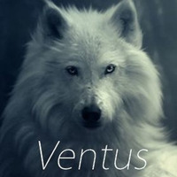 Ventus - Nightcaller (Original Mix) Remastered by Ventus
