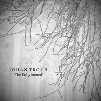 The Enlightened by Johan Troch