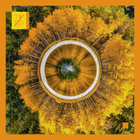  Fell In Fall Foliage mix 5 (dub techno/deep tech house) by Thank You 5 People