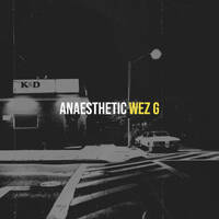Wez G - Anaesthetic by Wez G