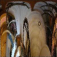 Tempolargo by Gérard Delassus