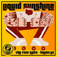 Filter House &amp; French Pop - Liquid Sunshine @ The Face Radio - Show #235 by Liquid Sunshine