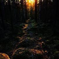 copernicus - highway to house - episode 61 by copernicus