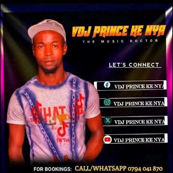 Vdj Prince Ke Nya
