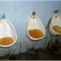 BodyBag - Dad Reacts To Jesus Christ Has A Bad Case Of Diarrhea by BodyBagForLife